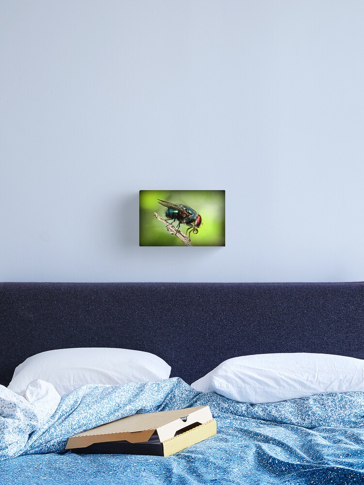 Thumbnail 2 of 3, Canvas Print, Fly designed and sold by theoddshot.