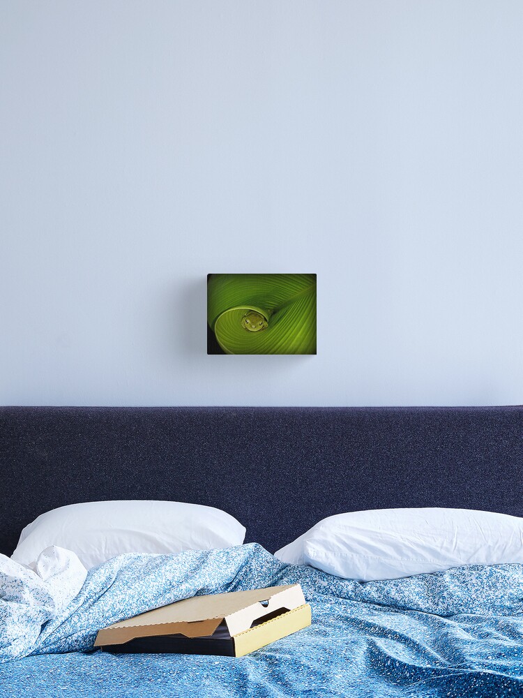 Thumbnail 2 of 3, Canvas Print, Frog in banana leaf designed and sold by theoddshot.