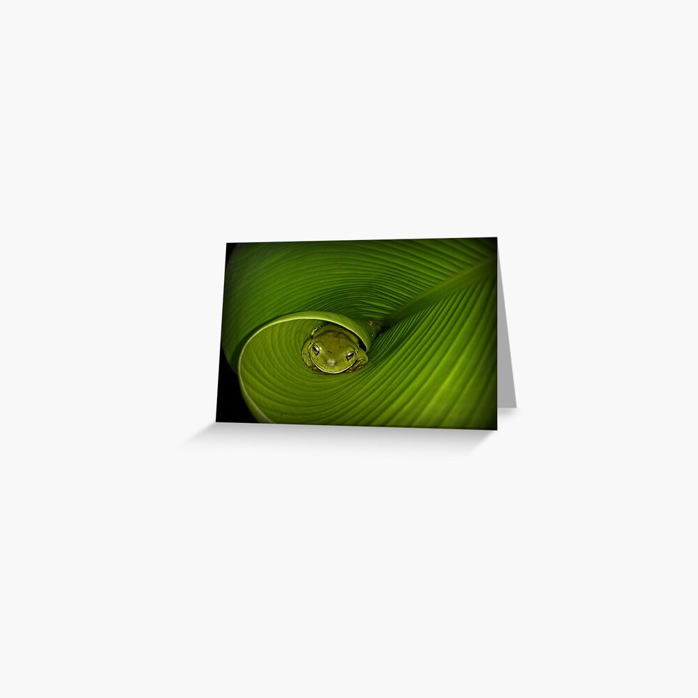 Item preview, Greeting Card designed and sold by theoddshot.