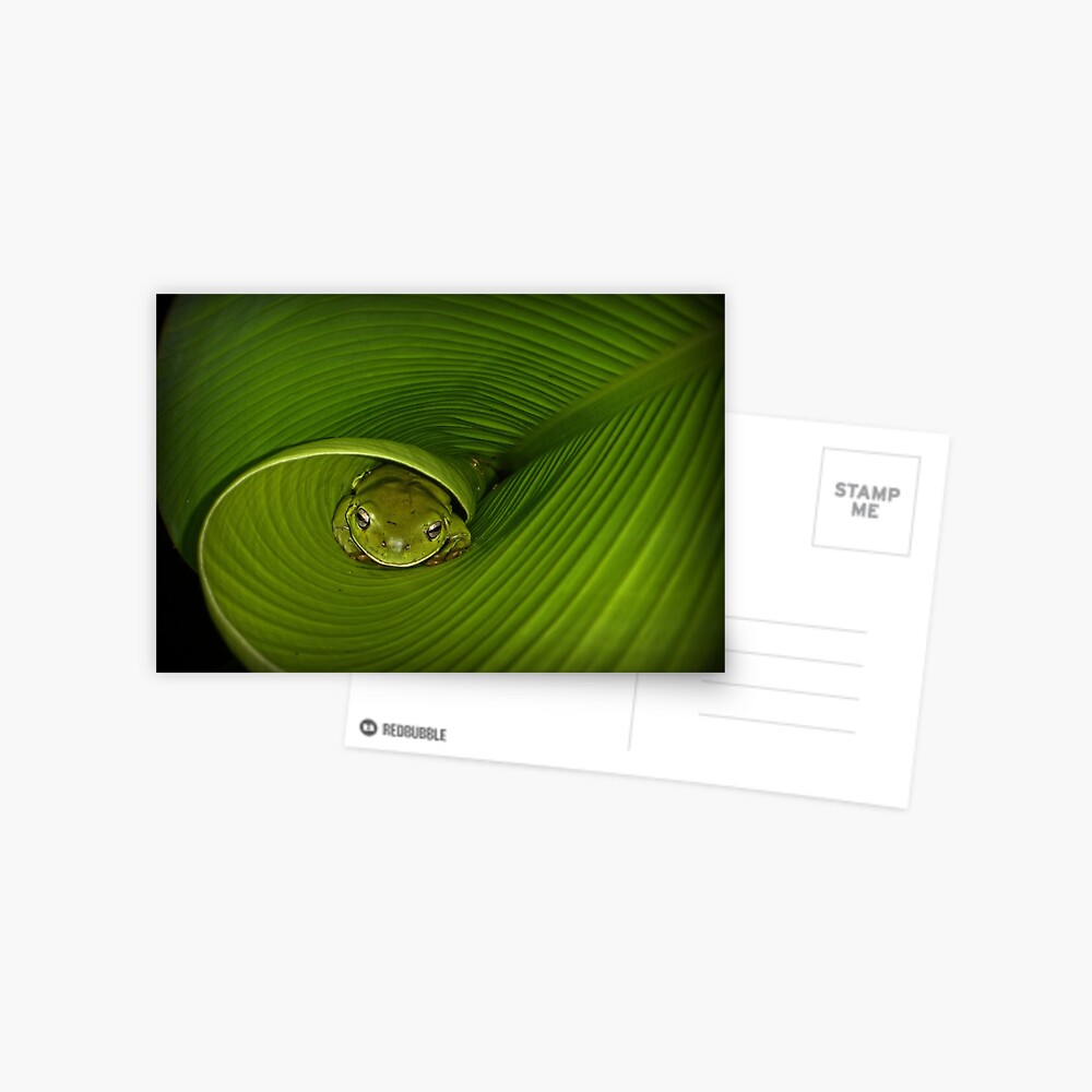 Item preview, Postcard designed and sold by theoddshot.