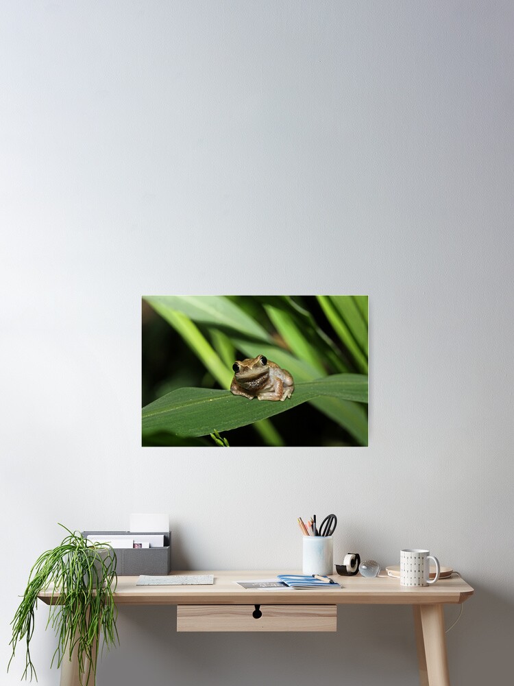 Thumbnail 2 of 3, Poster, Hello Frog designed and sold by theoddshot.