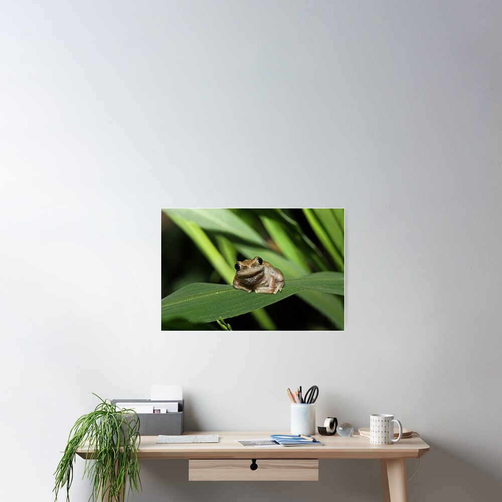 Item preview, Poster designed and sold by theoddshot.