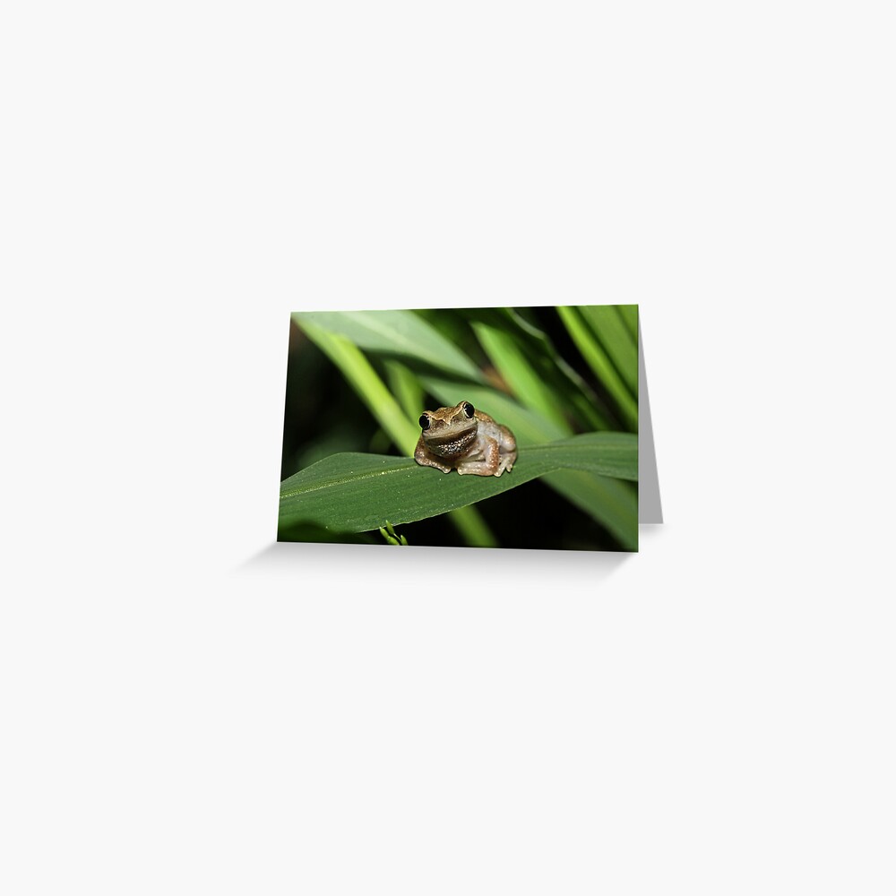Item preview, Greeting Card designed and sold by theoddshot.