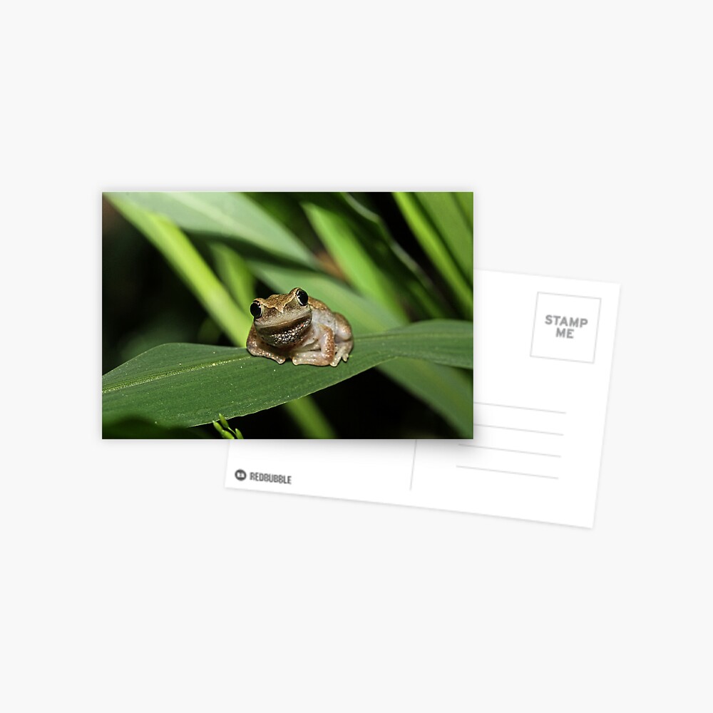 Item preview, Postcard designed and sold by theoddshot.