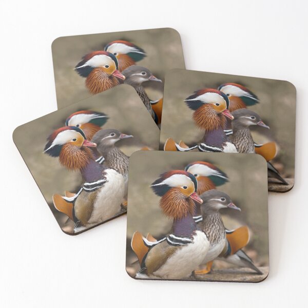 Item preview, Mandarine Ducks designed and sold by JBlaminsky.