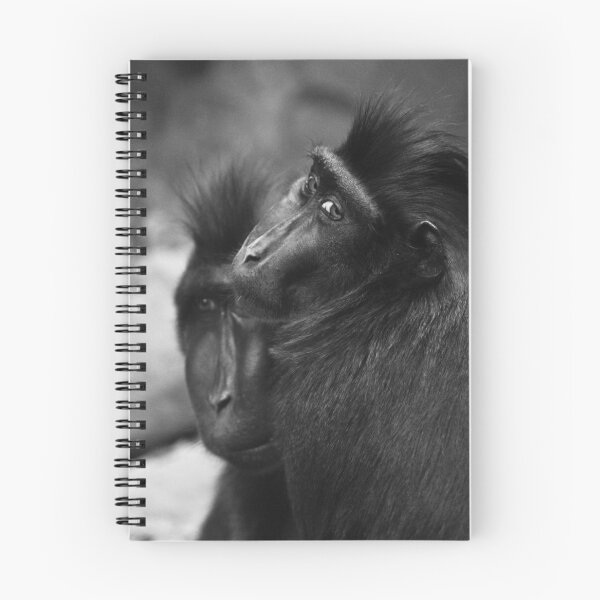 Item preview, Two Monkeys designed and sold by estesphoto.