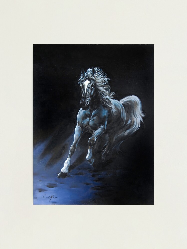 Thumbnail 2 of 3, Photographic Print, White Stallion designed and sold by Sara Moon.