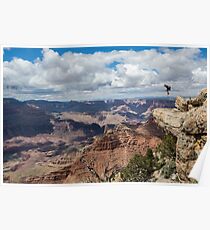 Jesse La Flair - Grand Canyon Poster