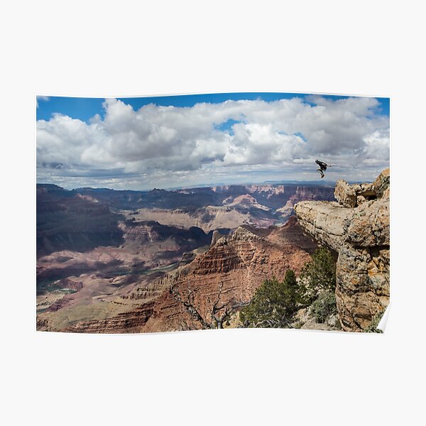 Jesse La Flair - Grand Canyon Poster