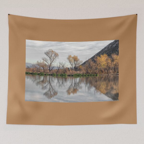 Item preview, San Jacinto Wildlife Area designed and sold by CarolM.