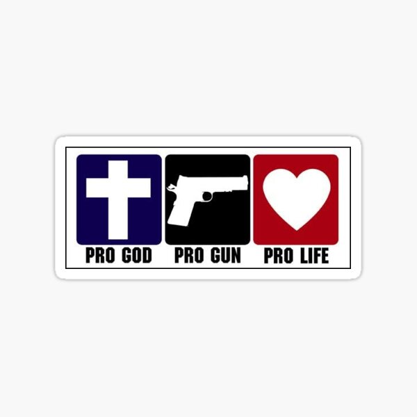 Pro Gun - Pro God - Pro Life Sticker