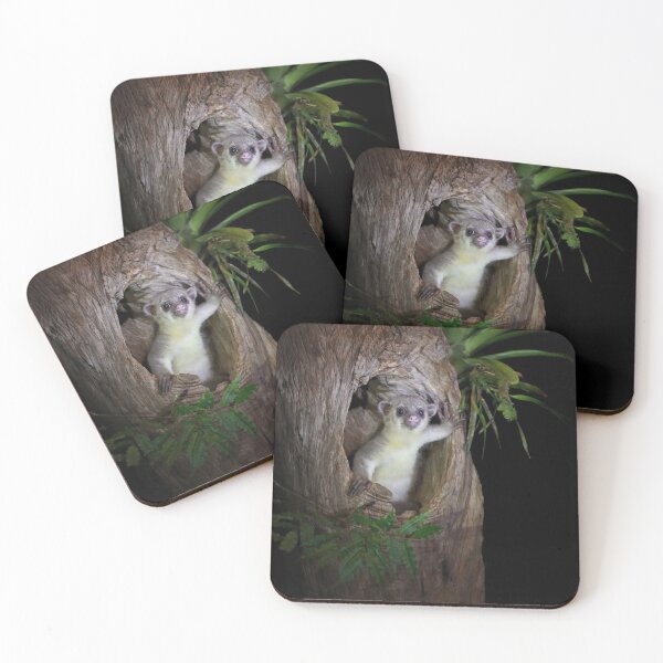 Item preview, Kinkajou designed and sold by mlorenz.