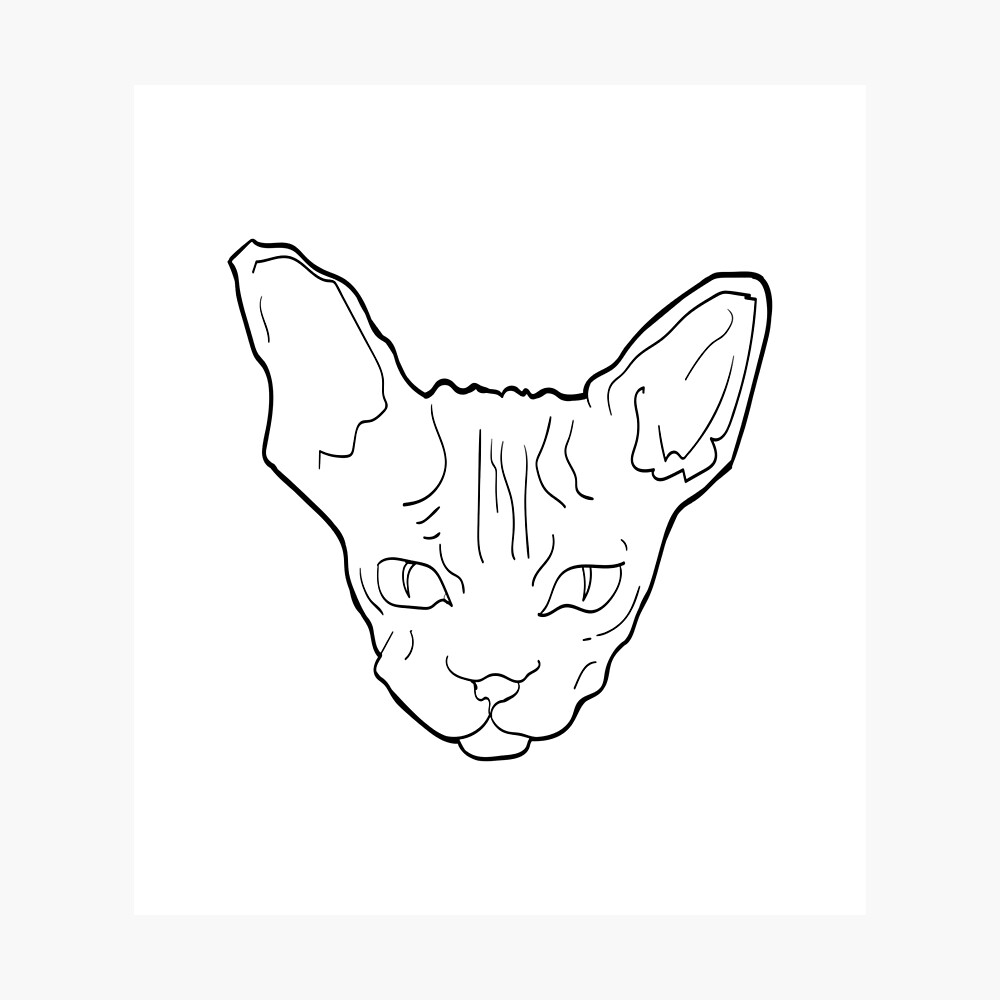 Poster Dessin Au Trait Sphynx Chat Noir Par Maxaint Redbubble