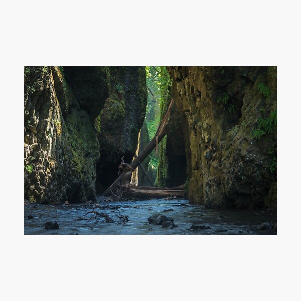 Item preview, Oneonta Gorge, Oregon designed and sold by mattmacpherson.