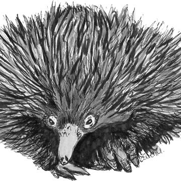 Artwork thumbnail, Spike the Echidna by Wildcard-Sue