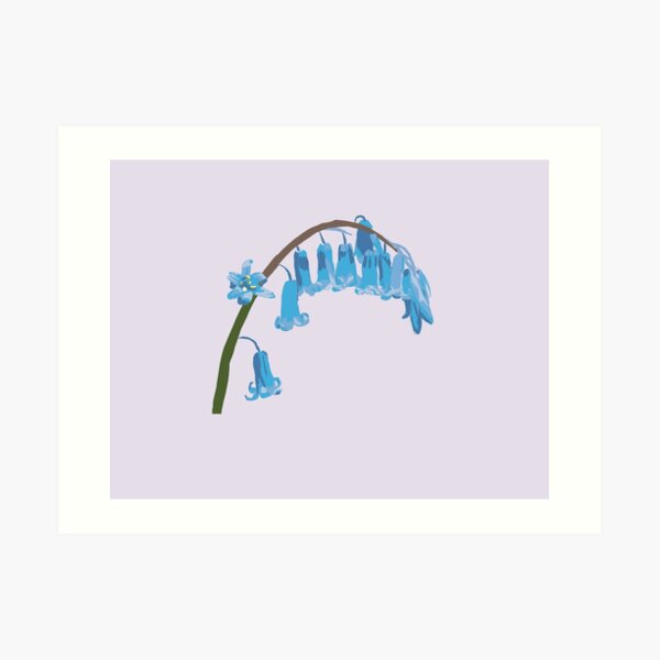 Bluebells (v3) Art Print