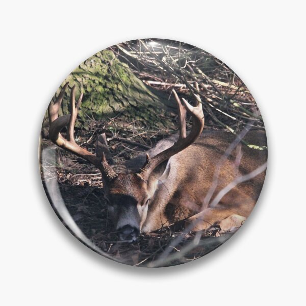 Item preview, Sleeping Deer designed and sold by RichImage.