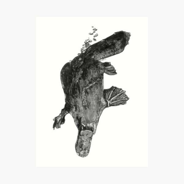 Annie the Platypus Art Print