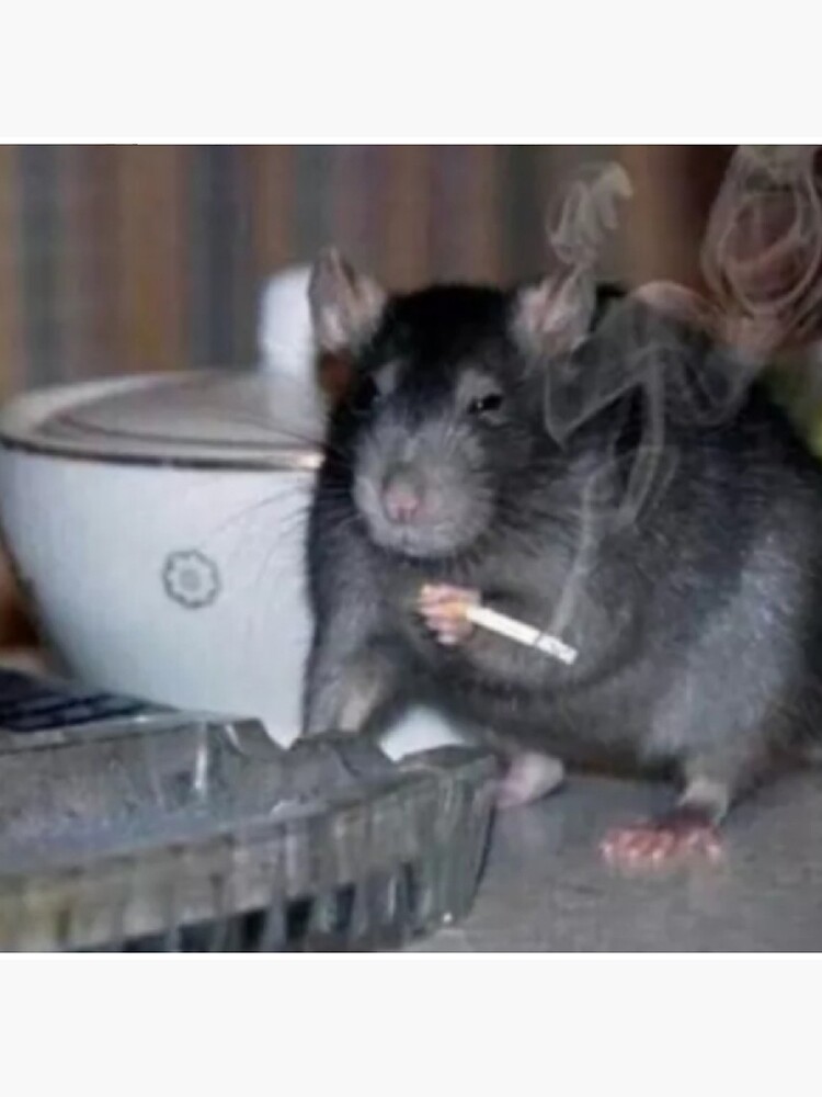 rat from ratatouille