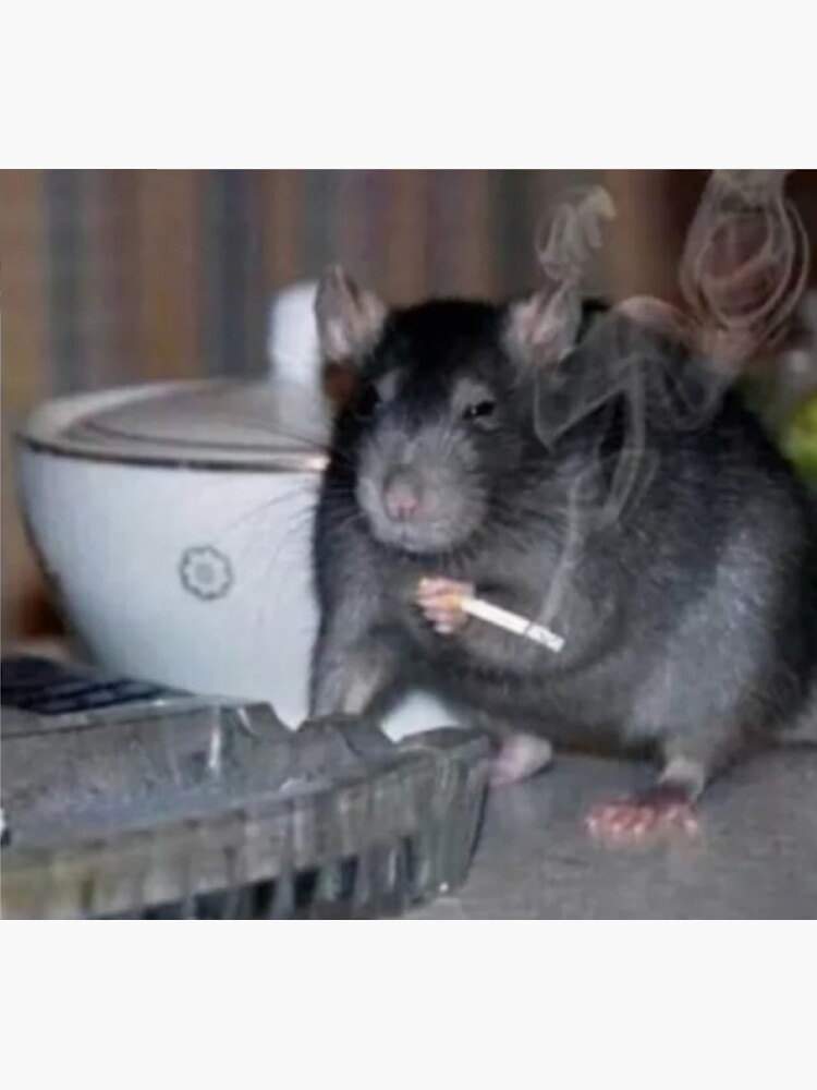 Ratatouille Rat Smoking Sticker