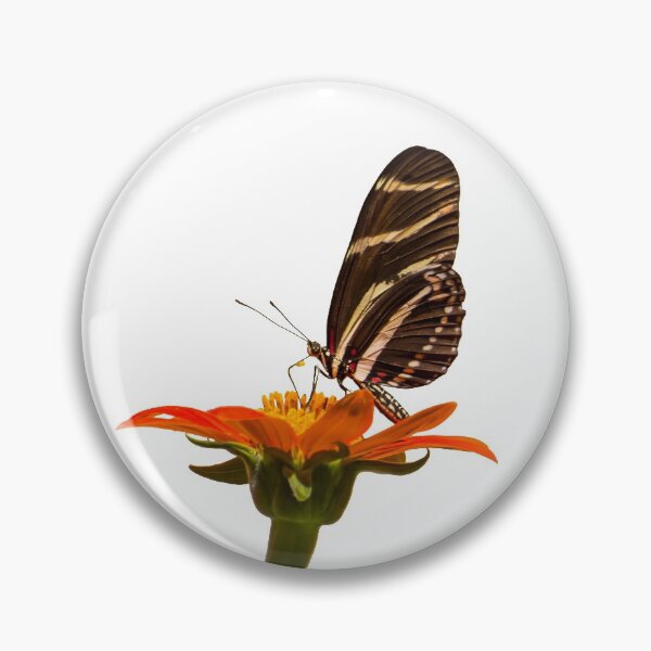 Artikelvorschau, Butterfly on Zinnia entworfen und verkauft von Zina Stromberg.