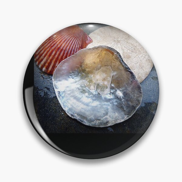 Item preview, SEA SHELLS COLLECTION designed and sold by Elaine Bawden.