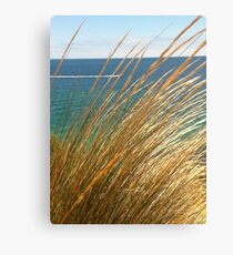seagrass Canvas Print