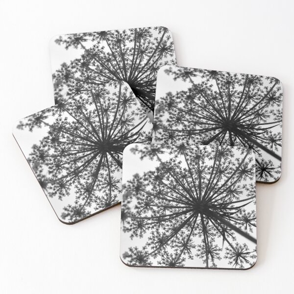 Item preview, Queen Anne's Lace designed and sold by HectorCantres.