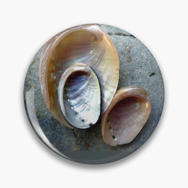 Item preview, SEA SHELLS ON A ROCK designed and sold by Elaine Bawden.
