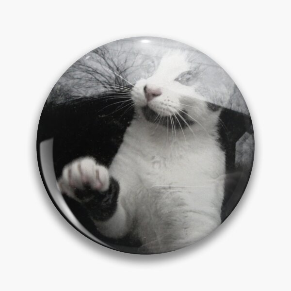 Item preview, Can I come out? designed and sold by Frankie Cat Photography.