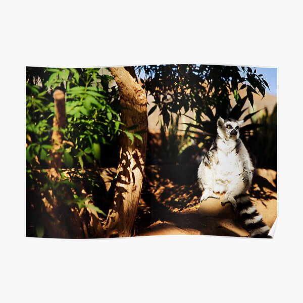 Larry the Lemur Poster