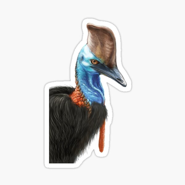 Item preview, Cassowary - by Nadya Neklioudova designed and sold by Nadya Neklioudova.