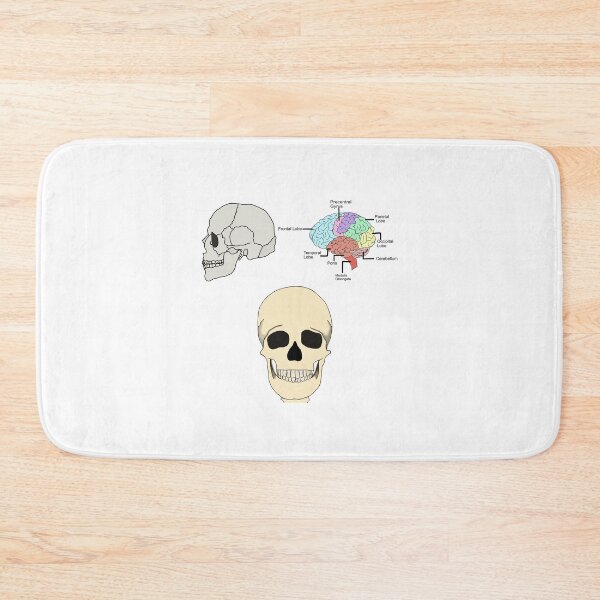 Item preview, Skull and Brain Anatomy designed and sold by mcdouemm.