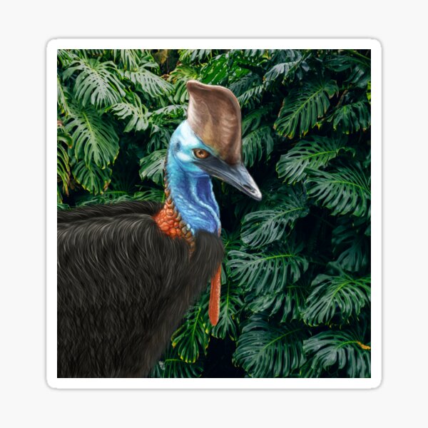 Jungle Cassowary - by Nadya Neklioudova Sticker