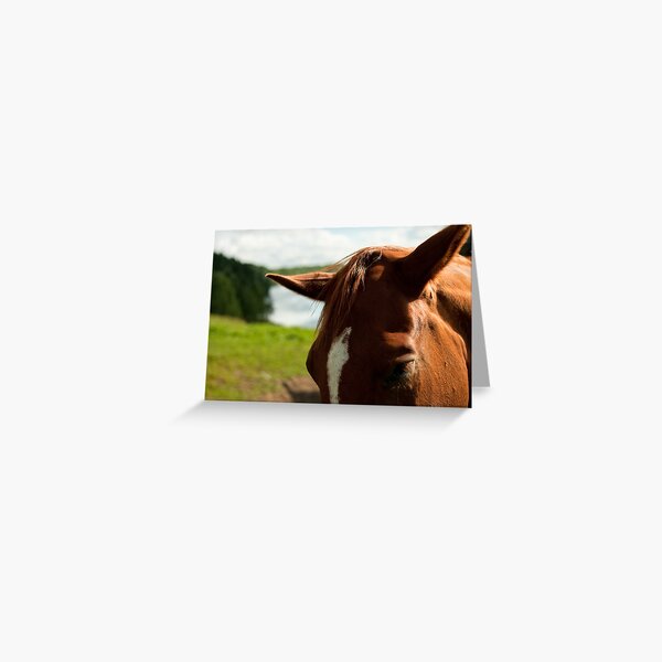 Fällfors Greeting Card