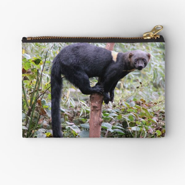 Item preview, Tayra designed and sold by Ladymoose.