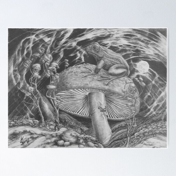 Night Toad Poster