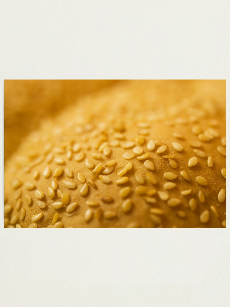 Alternate view of Day 187 - 13th January 2012 Photographic Print