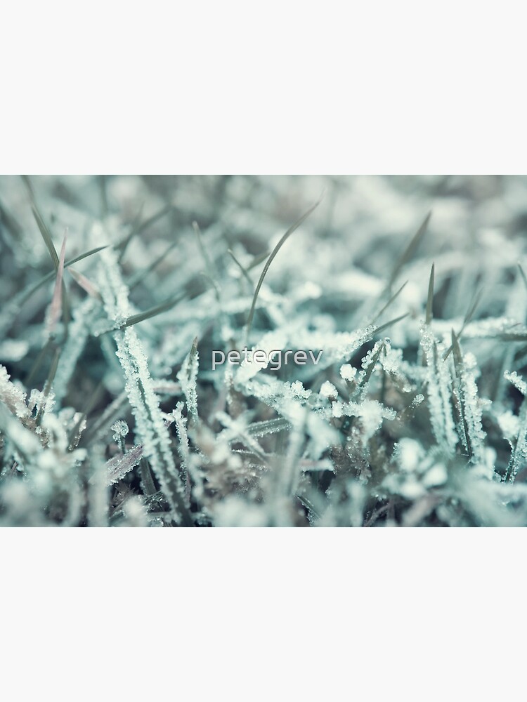 Day 188 - 14th January 2012 by petegrev