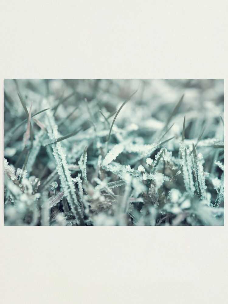 Alternate view of Day 188 - 14th January 2012 Photographic Print