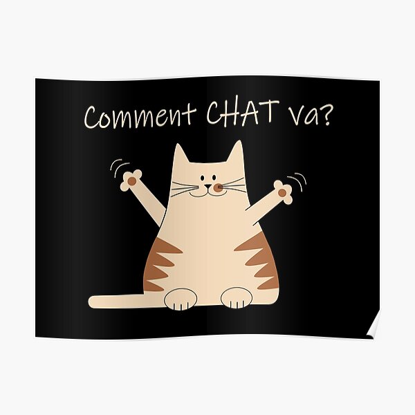 Poster Le Chat Dit Comment Chat Va Par Lolaly Redbubble