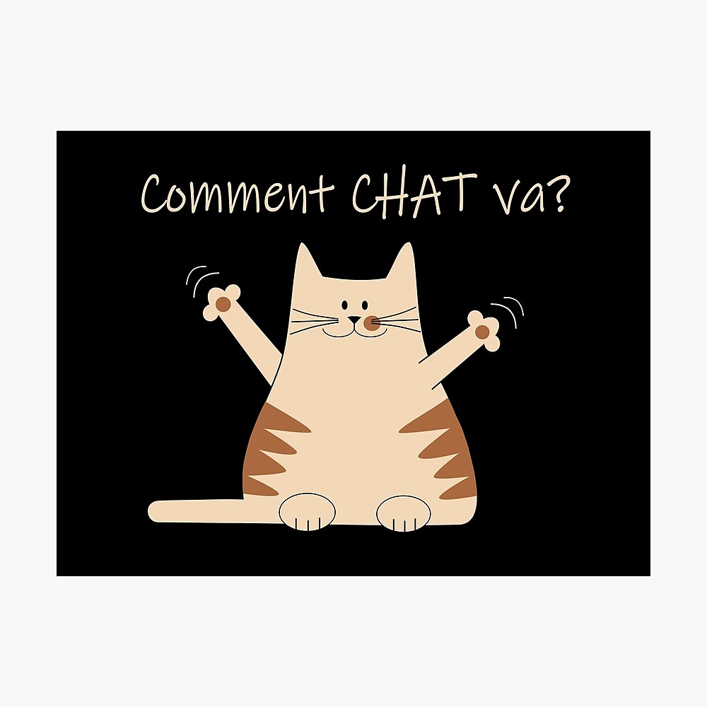 The Cat Says Comment Chat Va Poster By Lolaly Redbubble