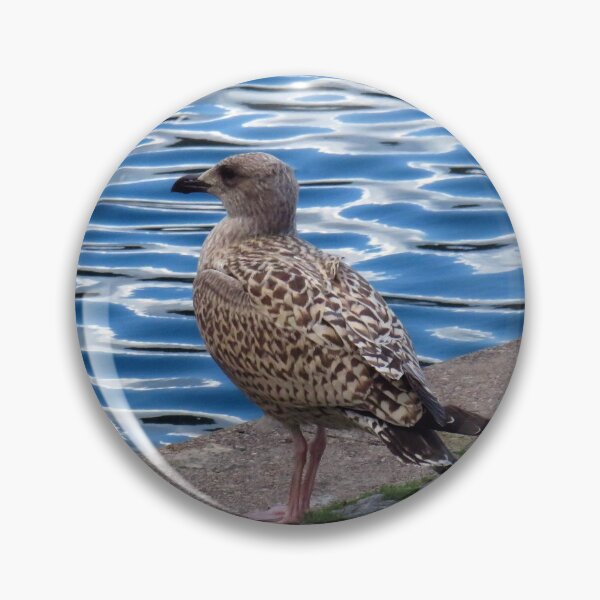 Artikelvorschau, Vergessen Sie nicht Ihren grünen Kreuzcode - Juvenile Gull entworfen und verkauft von BlueMoonRose.