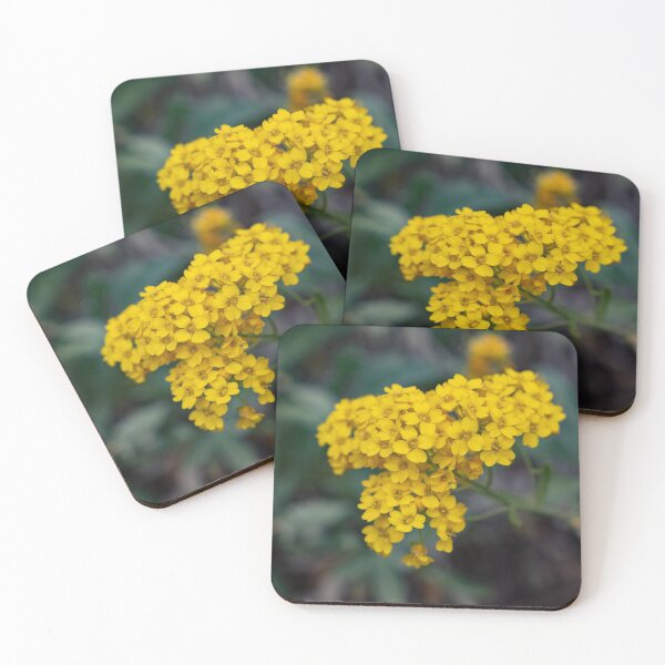 Item preview, A yellow alyssum (Alysum saxatile) in spring designed and sold by JPopov.