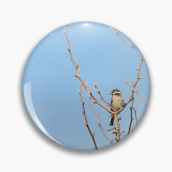 Item preview, Birdy designed and sold by Amy Dee.