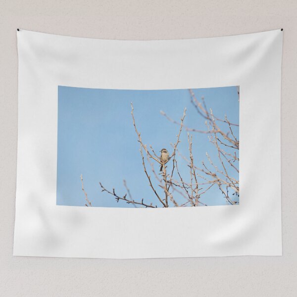 Item preview, Birdy designed and sold by Amy Dee.