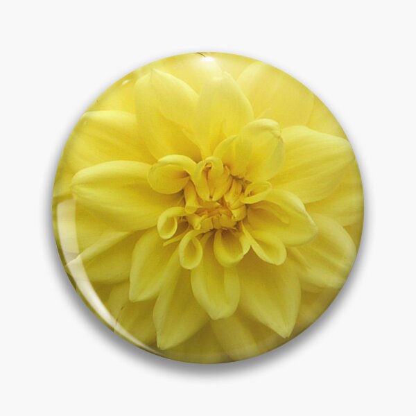 Item preview, Yellow Dahlia flower, with a bee in selective colouring.  designed and sold by PicsByTony.