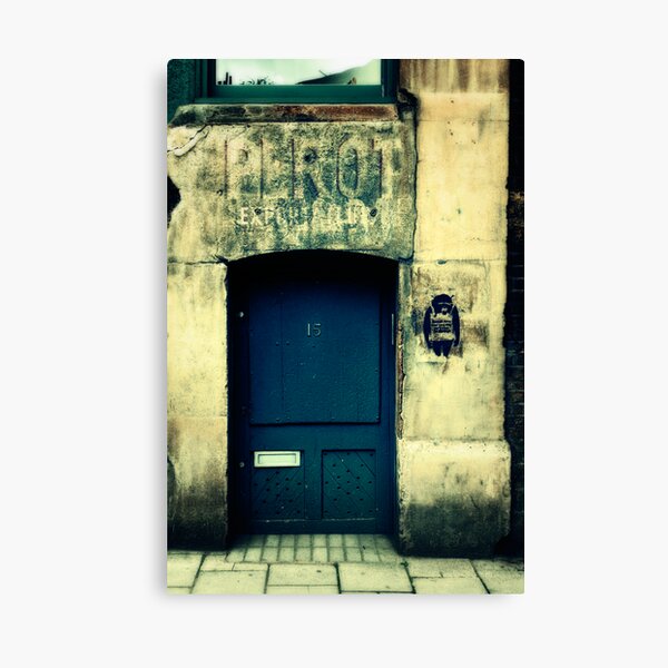 Space Monkey Canvas Print