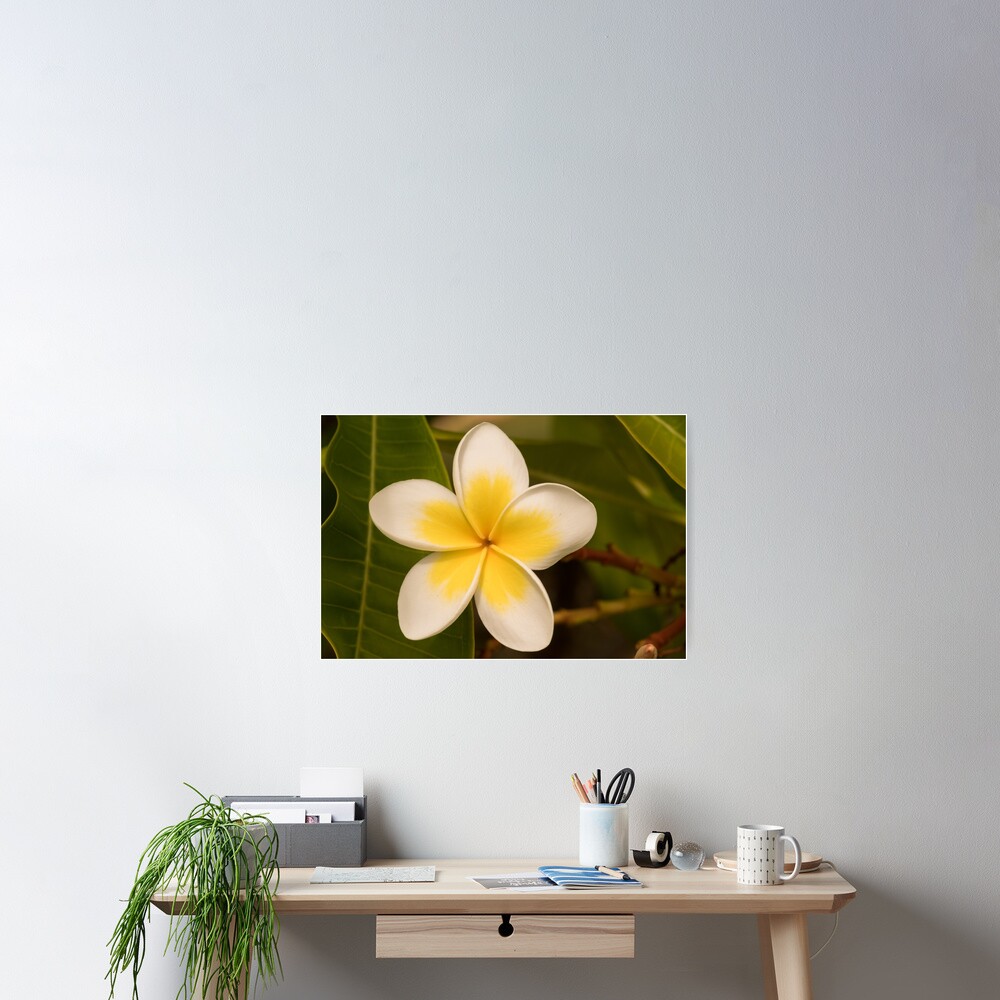 frangipani too Poster