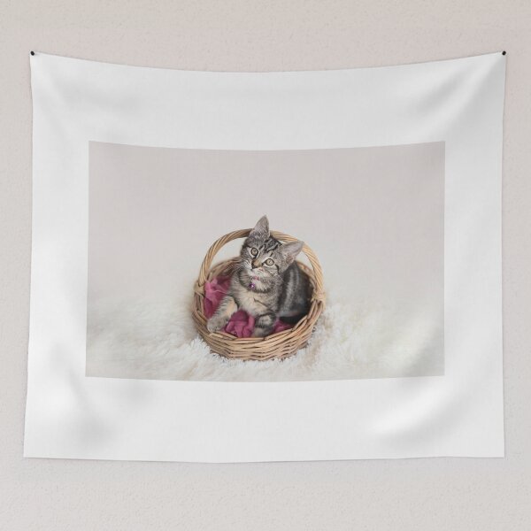 Item preview, Basket Cat designed and sold by Amy Dee.